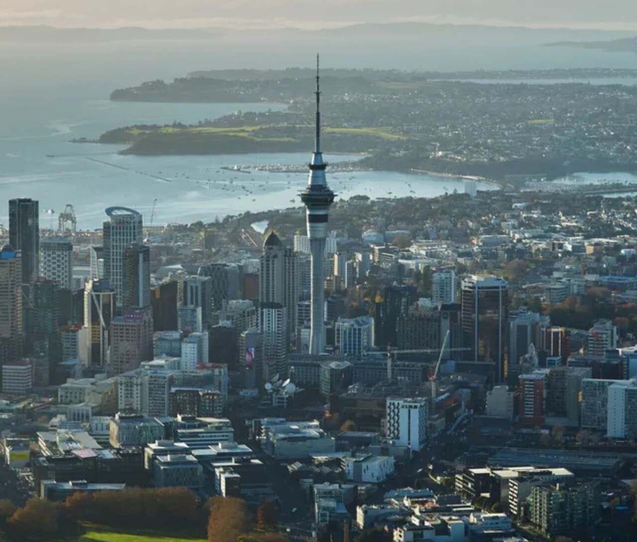 Invest-Auckland-Locations-Banner